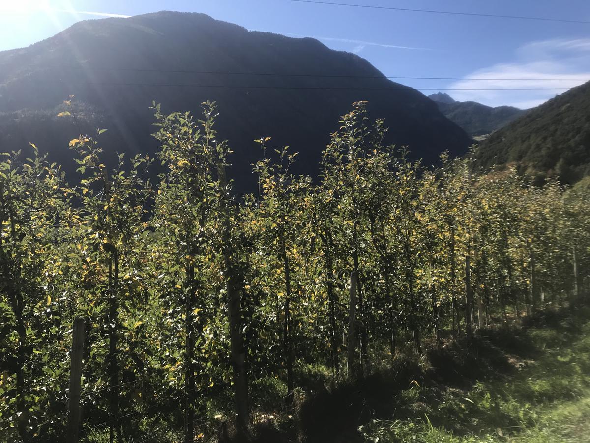 Gasserhof Aicha Natz-Schabs 外观 照片